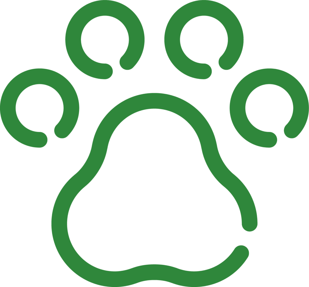 Animal Hospital in Millington, TN | Big Creek Animal Hospital