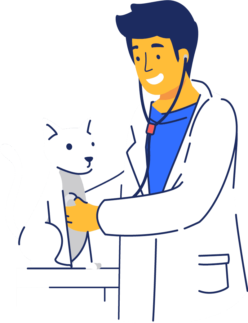 Vector image of a veterinarian