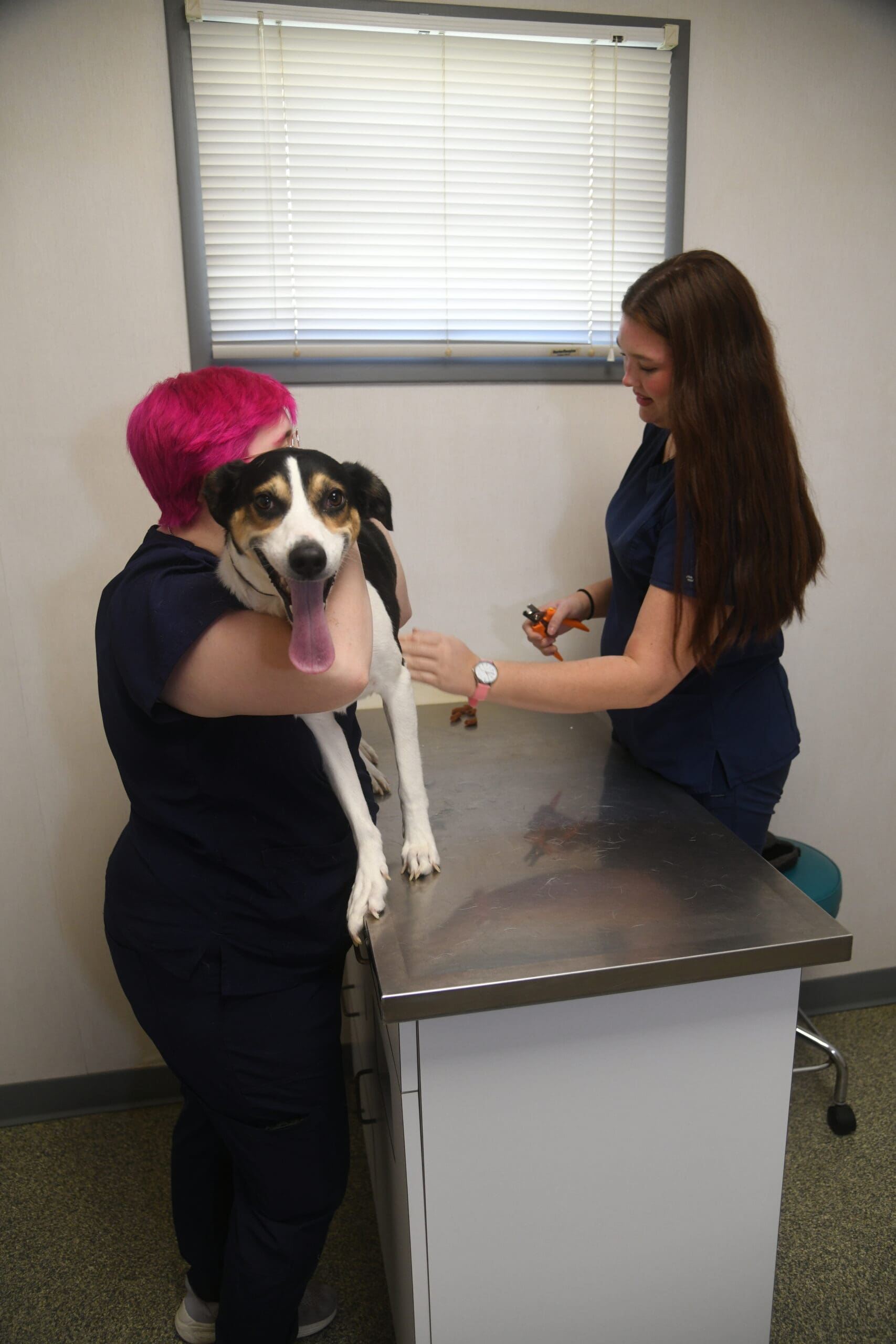Big Creek Animal Hospital Vet Technician with a dog